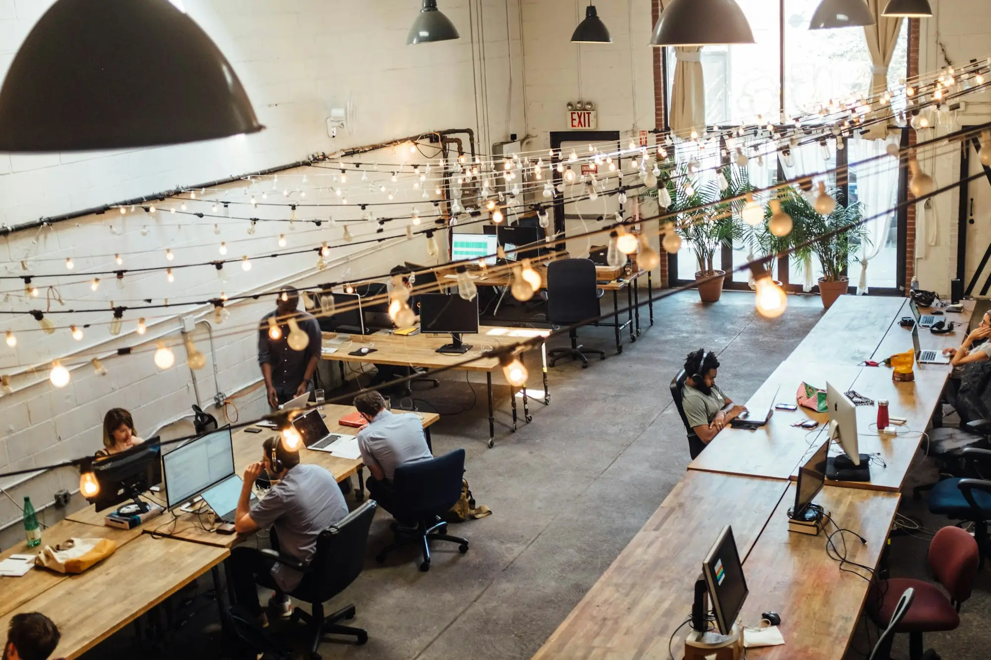 Founder setting up a new business workspace in a New Zealand co-working space